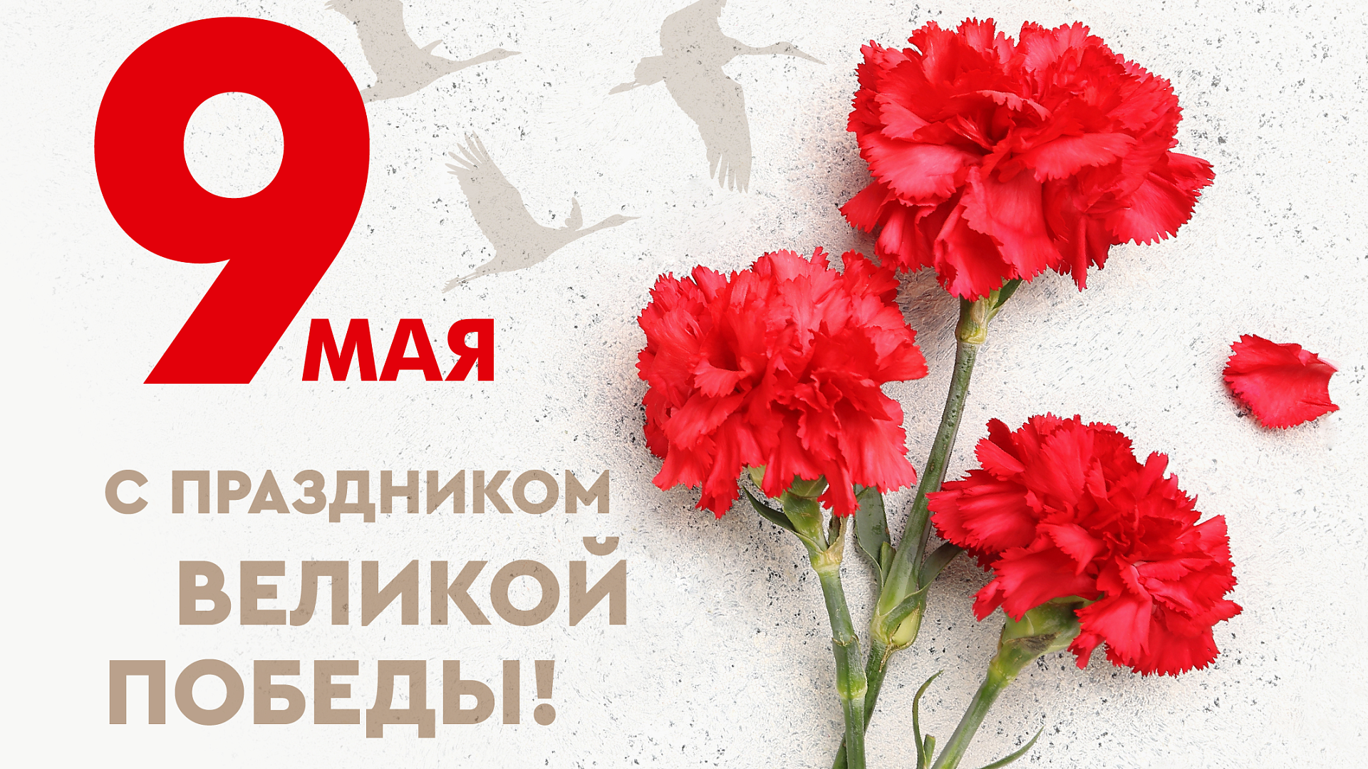 Поздравляем с Днем Великой Победы!