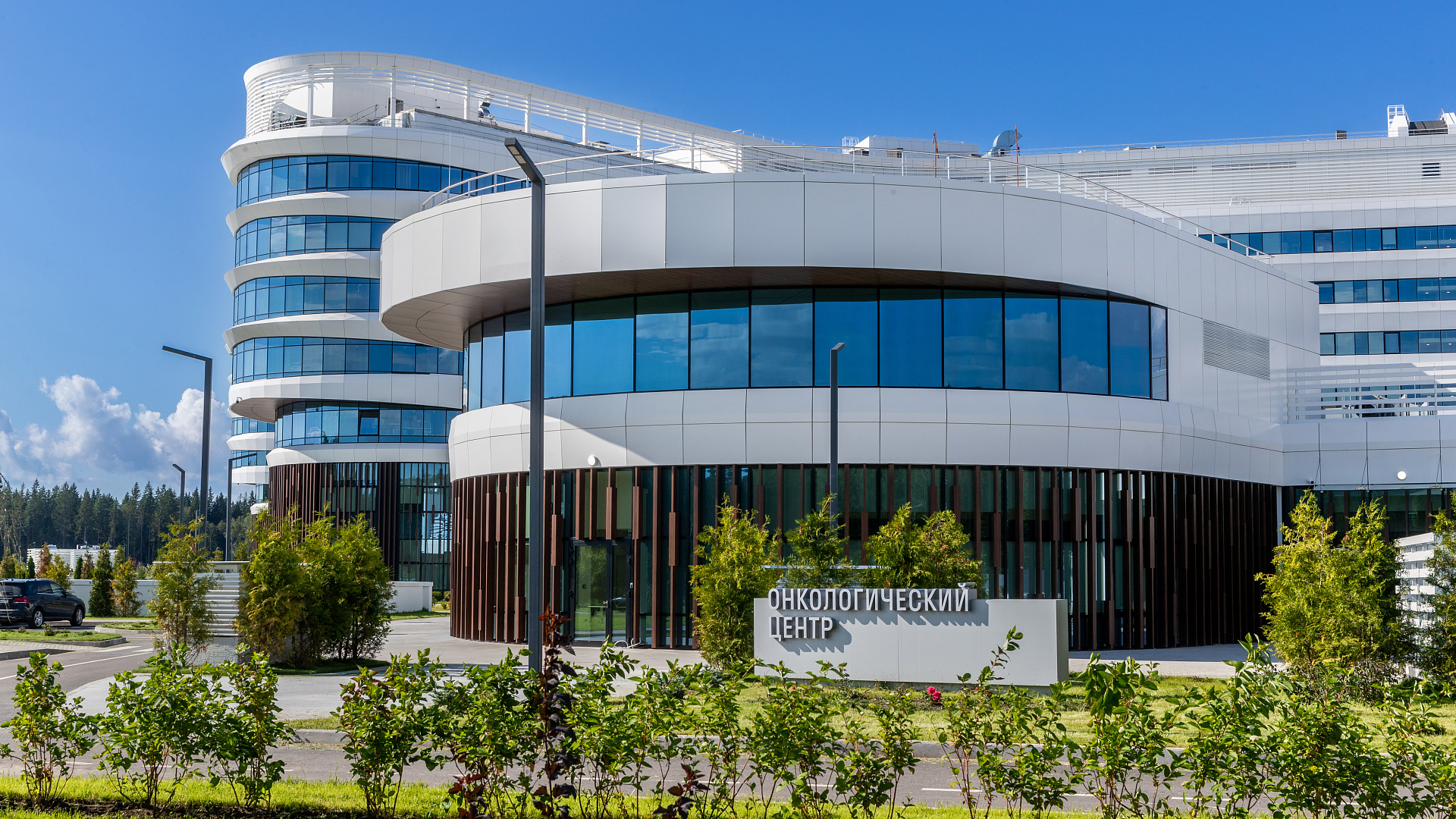 7 вопросов о раке